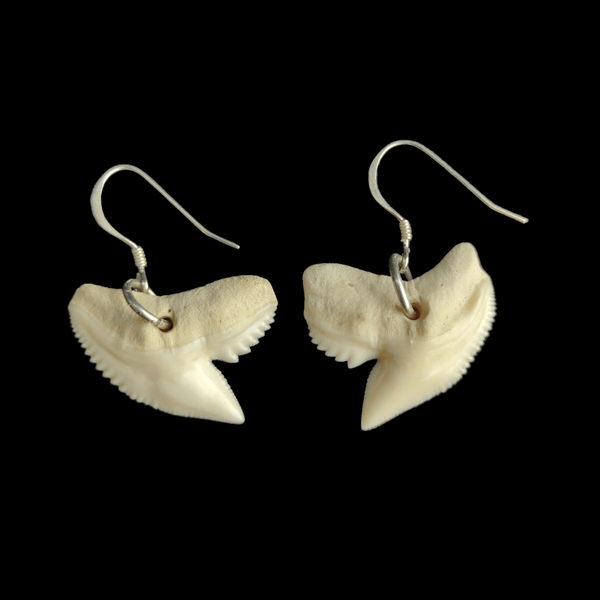 Mau Taringa Mako - Mini Shark Teeth Earrings - Sands Carving Studio