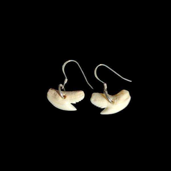 Tiger Shark Teeth Earrings