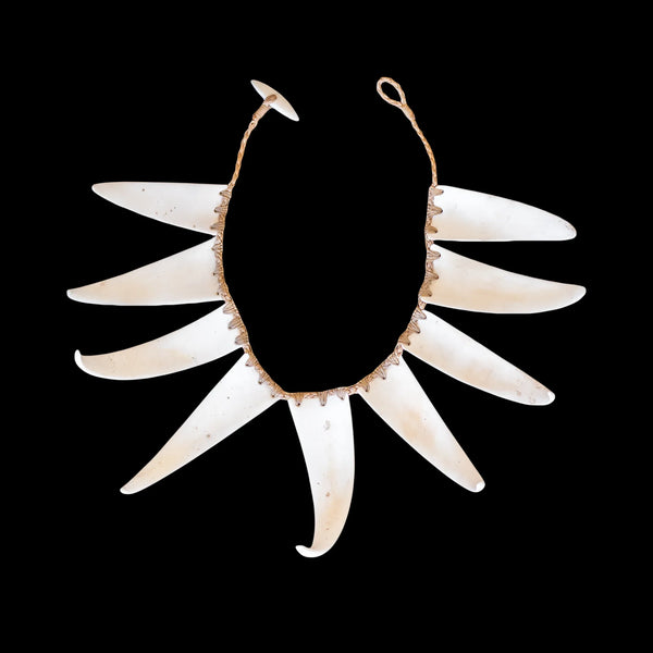 Moa Hunter Period - Shell Rei Niho Neck Ornament - Sands Carving Studio