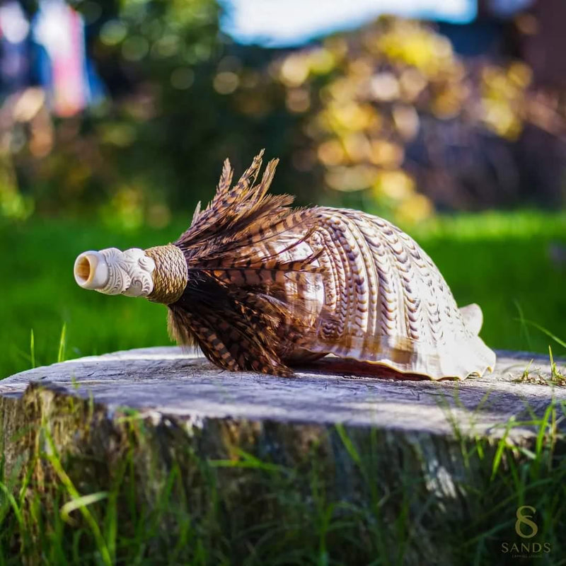 Pūtātara - Shell Trumpet with Whale Tooth Mouthpiece - Sands Carving Studio