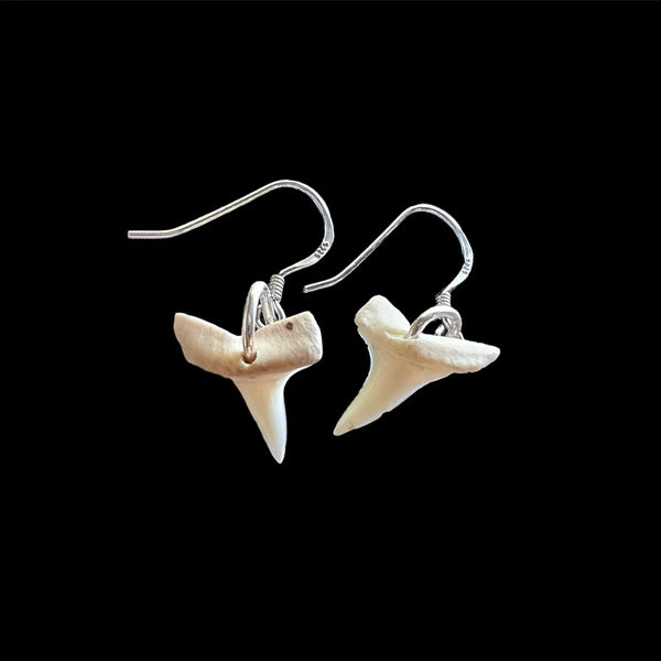 Mau Taringa Mako - Mini Shark Teeth Earrings - Sands Carving Studio