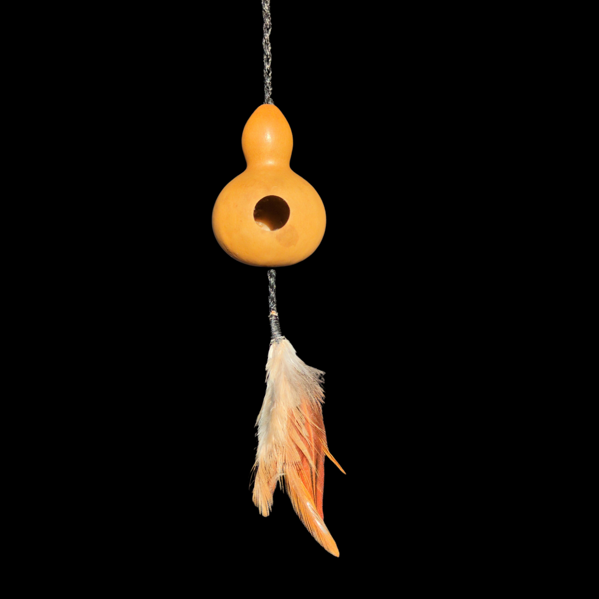 Taonga Pūoro: Musical Treasures of Māori