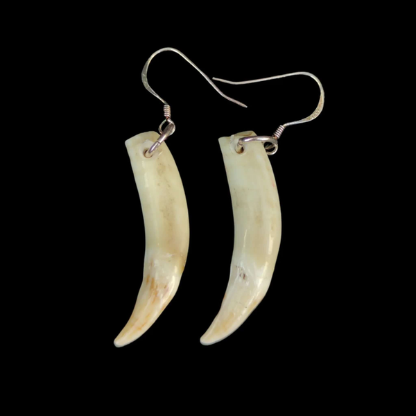 Seal Tooth Mau Taringa -Earrings - Sands Carving Studio