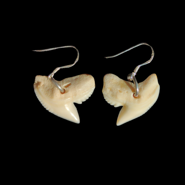 Tiger Shark Teeth Earrings