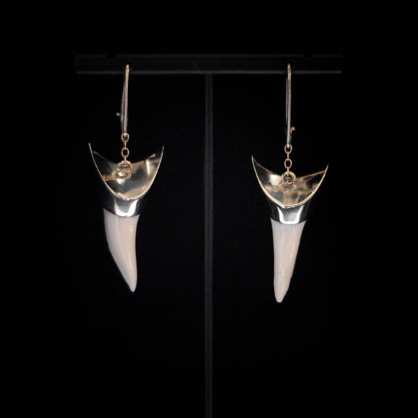 Solid 9 CT Gold Capped Mako Teeth Earrings - Sands Carving Studio