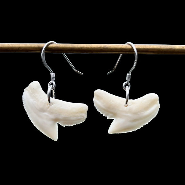 Tiger Shark Teeth Earrings - Sands Carving Studio